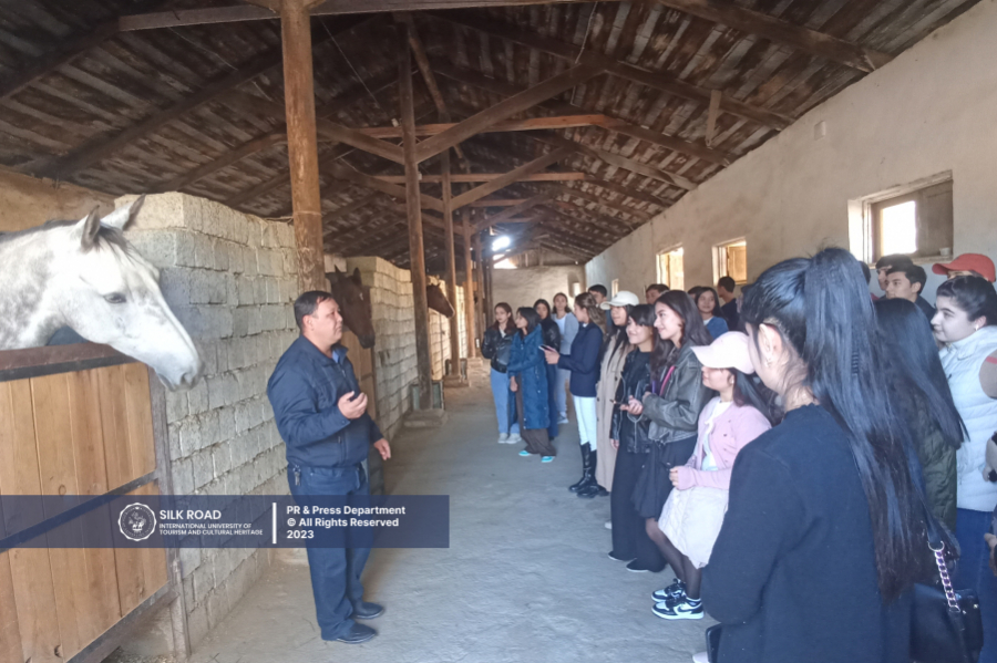 Students of our university showed their skills in equestrian sport