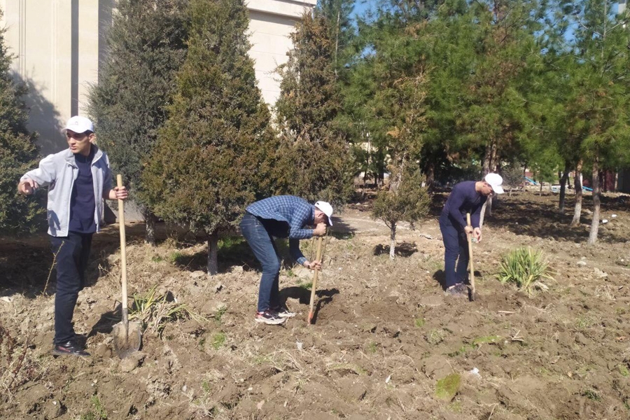 Студенты Университета «Шелковый путь» приняли участие в акции «Сохрани природу, посади дерево»